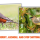 Image for article titled A Scientist Explained How I Can Sorta Blame China For The Huge Amount Of Bird Shit On My Cars